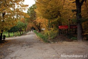 przełęcz tąpadła