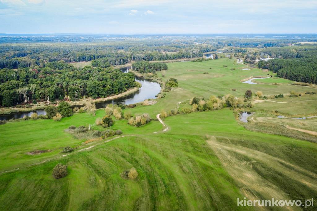 Rogaliński Park Krajobrazowy z lotu ptaka