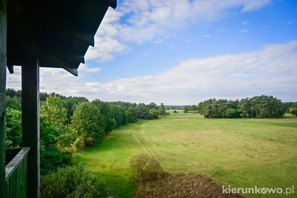 Łąki Rogalińskiego PK widziane z wieży widokowej na Bobrowym Szlaku w Czmońcu