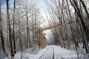 dolina szklarki w poznaniu