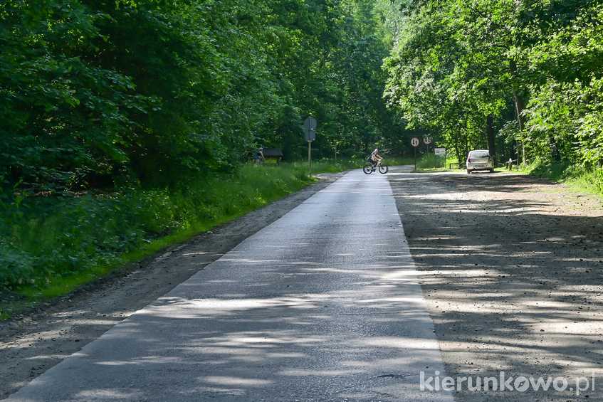 "Greiserówka" na terenie Wielkopolskiego Parku Narodowego