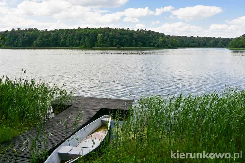 Jezioro Góreckie (pomost przy Muzeum WPN)