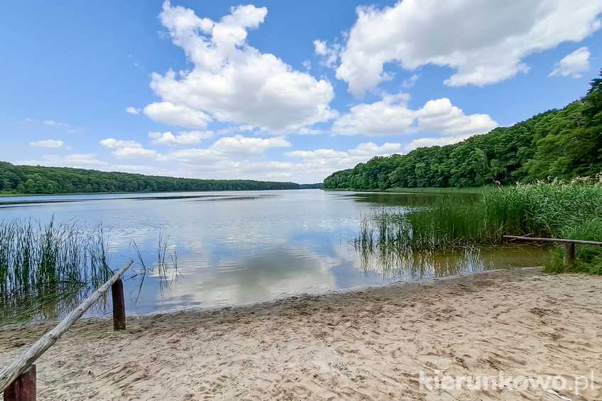 Widok na Jezioro Góreckie z dawnej plaży na wschodnim krańcu jeziora