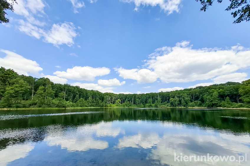 Jezioro Kociołek (Wielkopolski Park Narodowy)