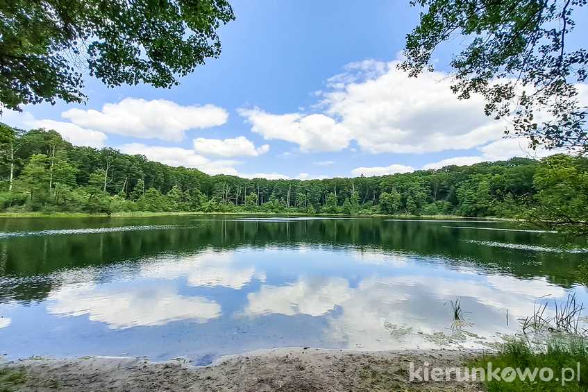 Jezioro Kociołek w Wielkopolskim Parku Narodowym co warto zobaczyć wielkopolski park narodowy