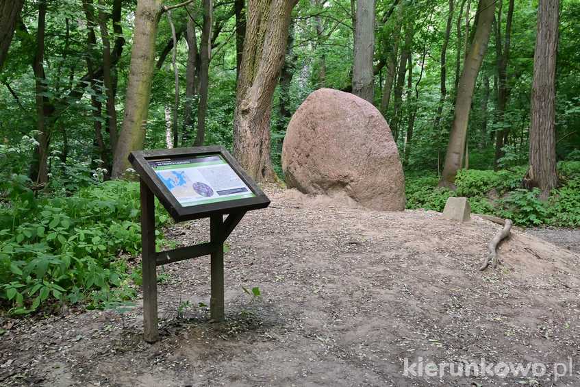 Dzięki tablicom i innej infrastrukturze, łatwiej jest odkrywać jedyny park narodowy w Wielkopolsce