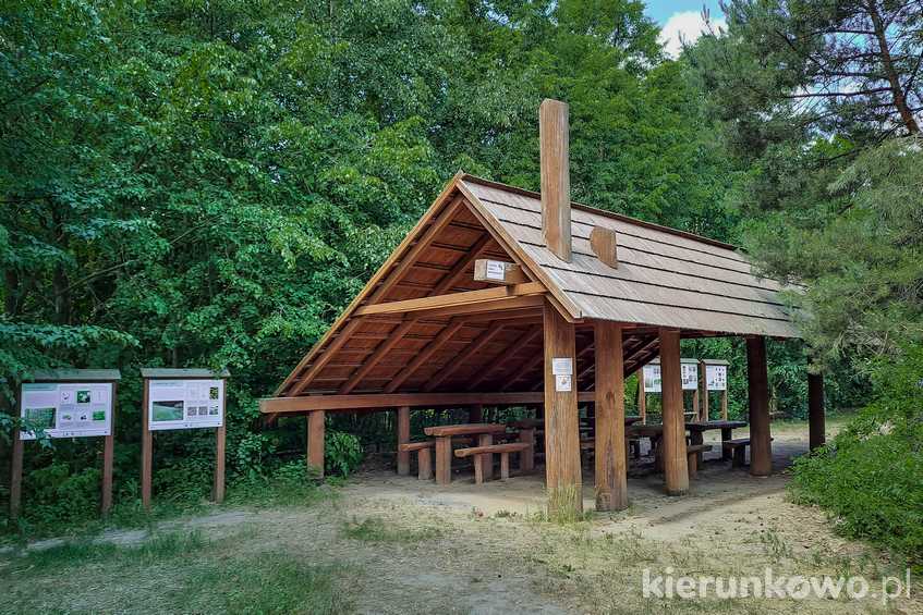 Parking na Osowej Górze - idealne miejsce na piknik