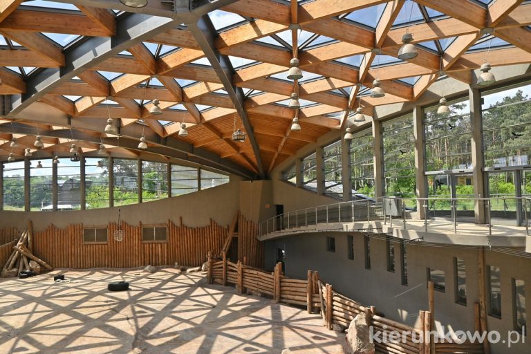 nowe zoo w poznaniu zoo poznań ogróf zoologiczny w poznaniu