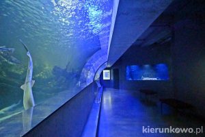 Oceanarium w Międzyzdrojach