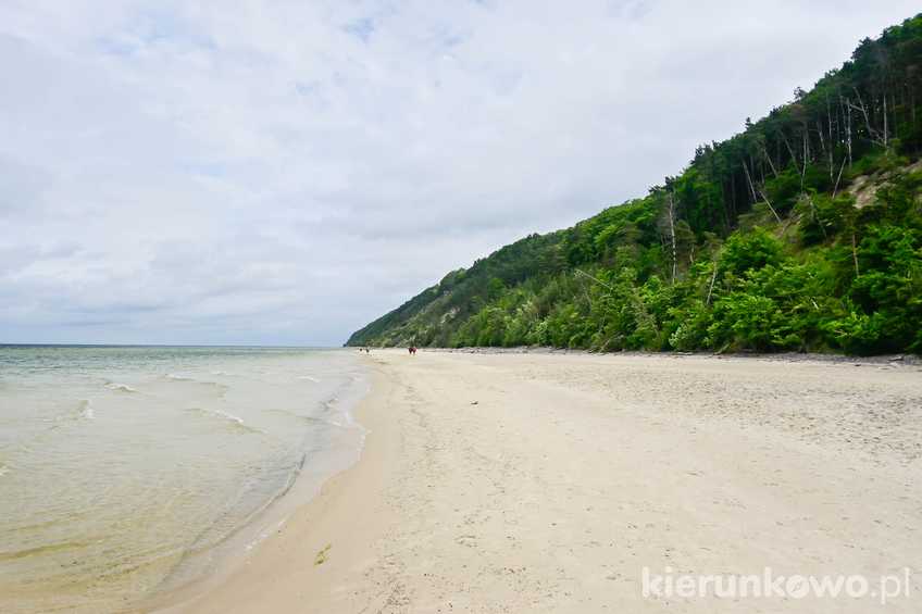 Plaża w Wolińskim Parku Narodowym