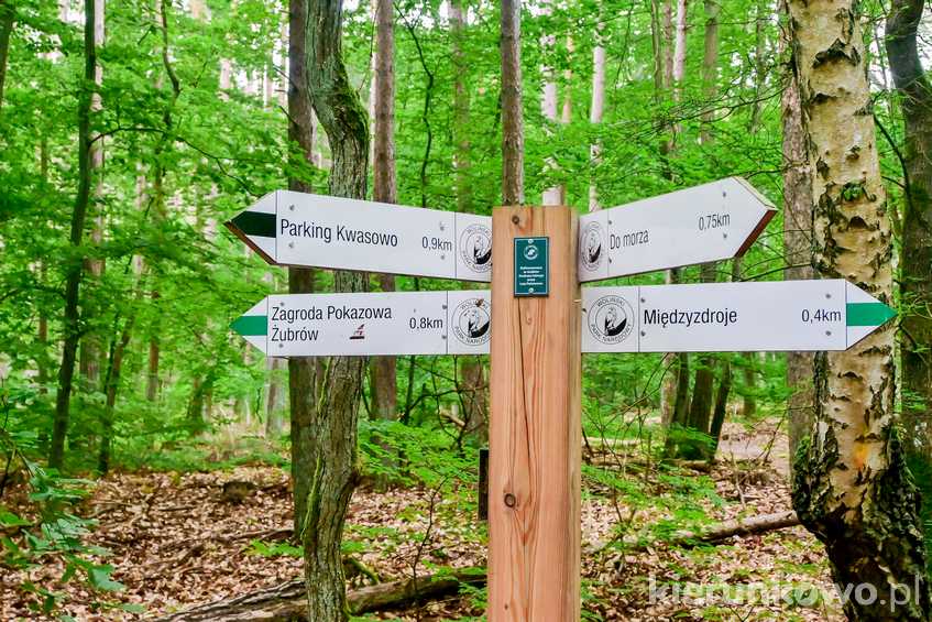 Drogowskaz w Wolińskim Parku Narodowym