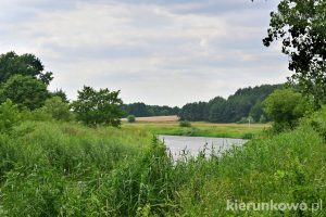 atrakcje w okolicach Pyzdr