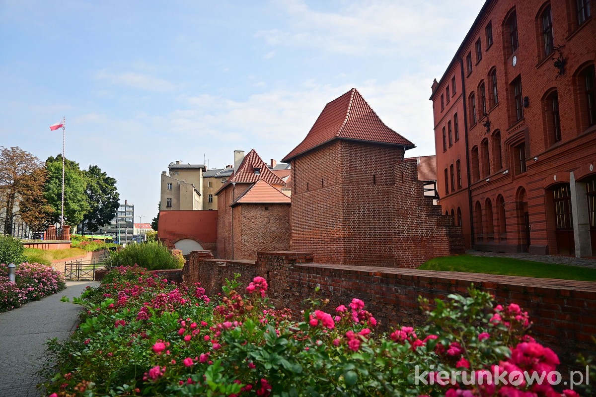 Dawne mury miejskie w Poznaniu