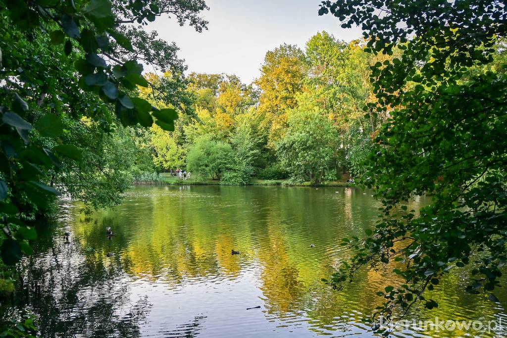 Park Sołacki - jeden ze stawów na Bogdance