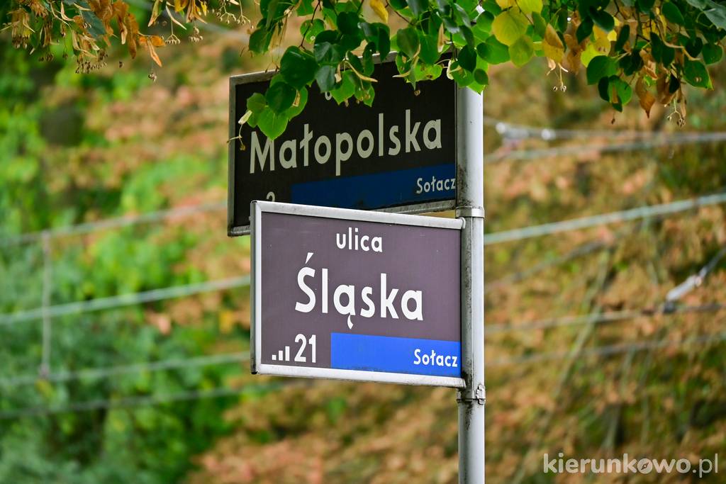 Tabliczki uliczne, na niebieskim tle widoczny napis dzielnicy "Sołacz"