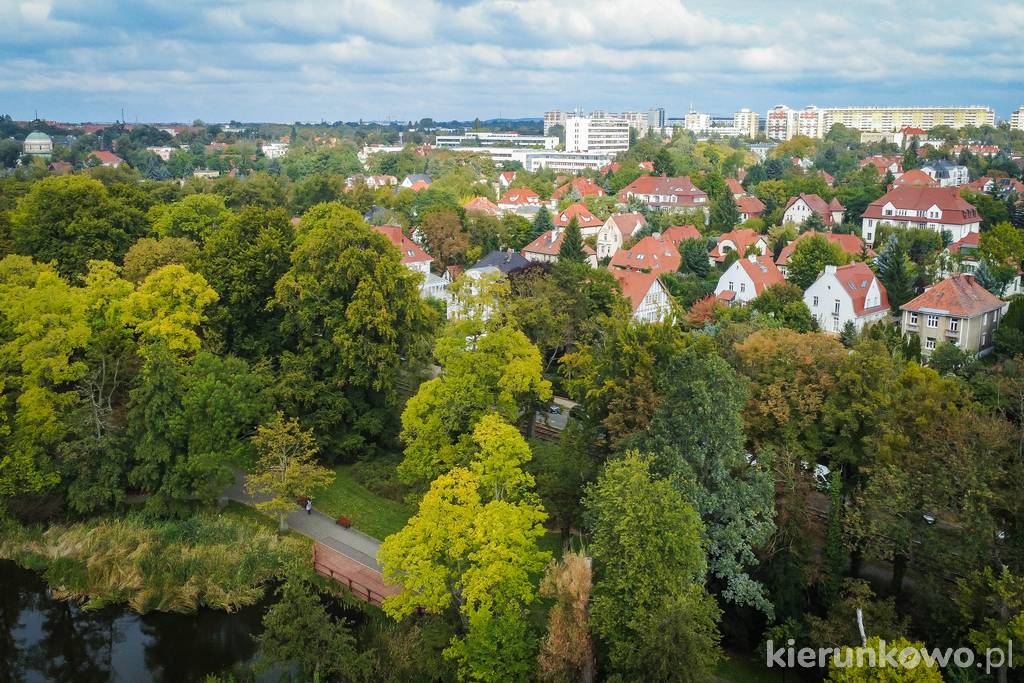 Fragment zabudowy willowej na poznańskim Sołaczu z lotu ptaka