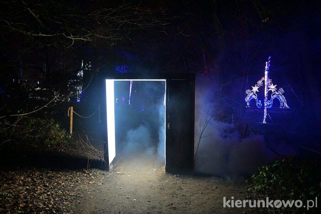 wejście do narnii park iluminacji w poznaniu filmowy las