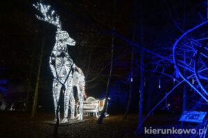 lumina park w poznaniu renifer sanie