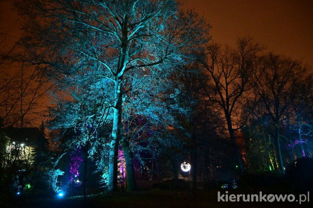 park iluminacji w poznaniu podświetlony las