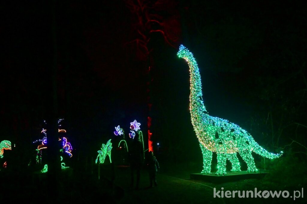 dinozaury diplodok park iluminacji w poznaniu