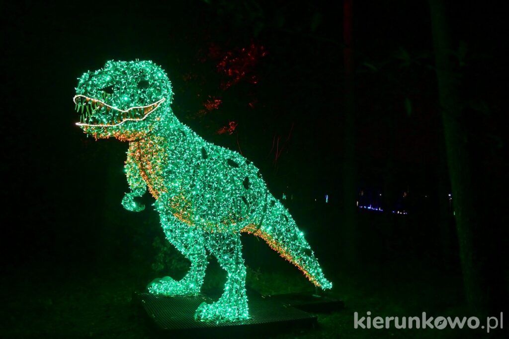 t-rex tyranozaur park iluminacji w poznaniu
