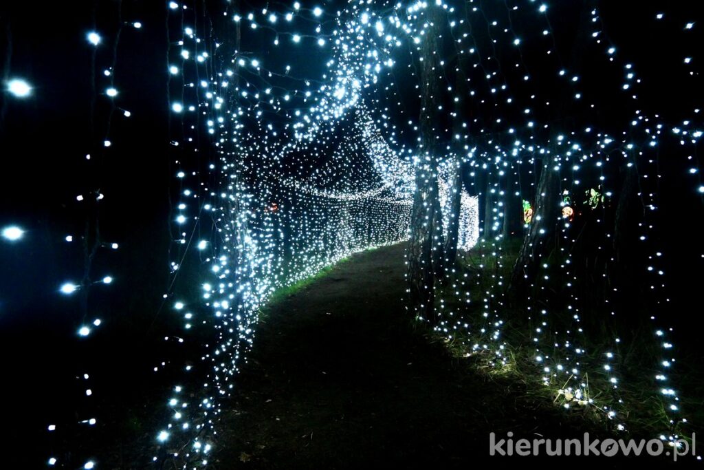 lumina park w poznaniu świetlny tunel korytarz