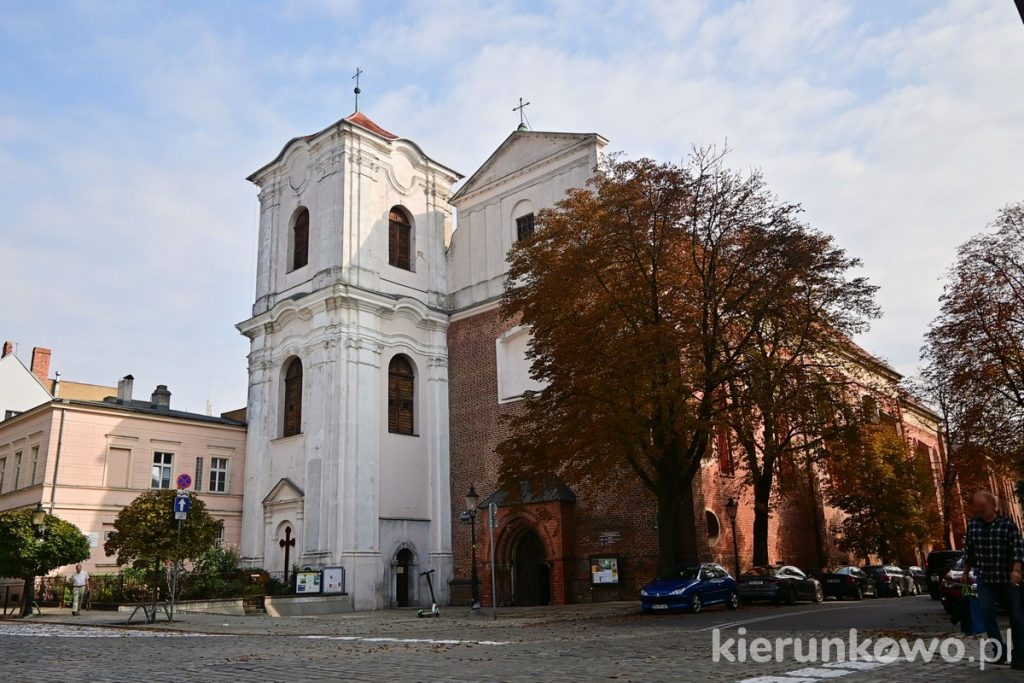 kościół klasztorny jezuitów jezuici kościół szewska poznań stare miasto w poznaniu
