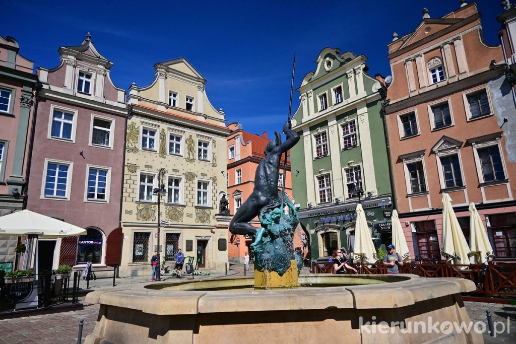 fontanna stary rynek poznań poznański stary rynek