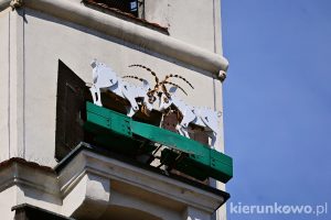 poznański stary rynek w poznaniu koziołki poznańskie koziołki w poznaniu poznań atrakcje