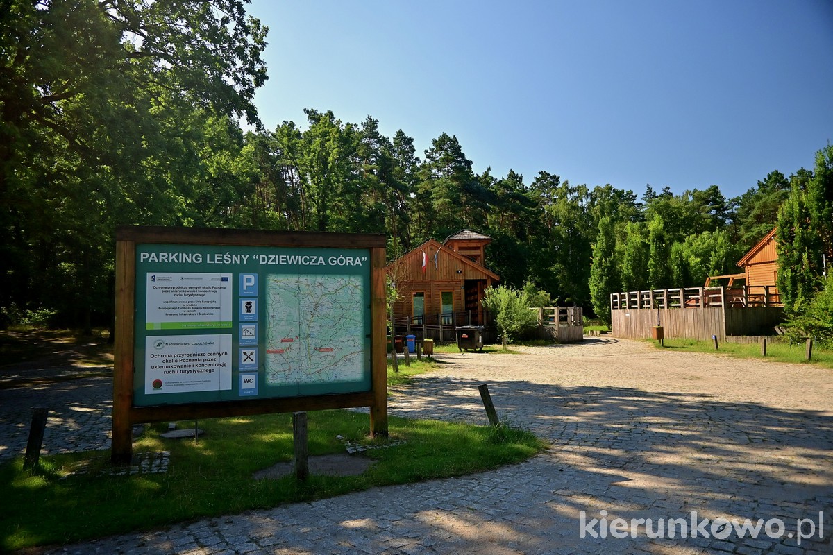 Ośrodek Edukacji Przyrodniczo-Leśnej na Dziewiczej Górze