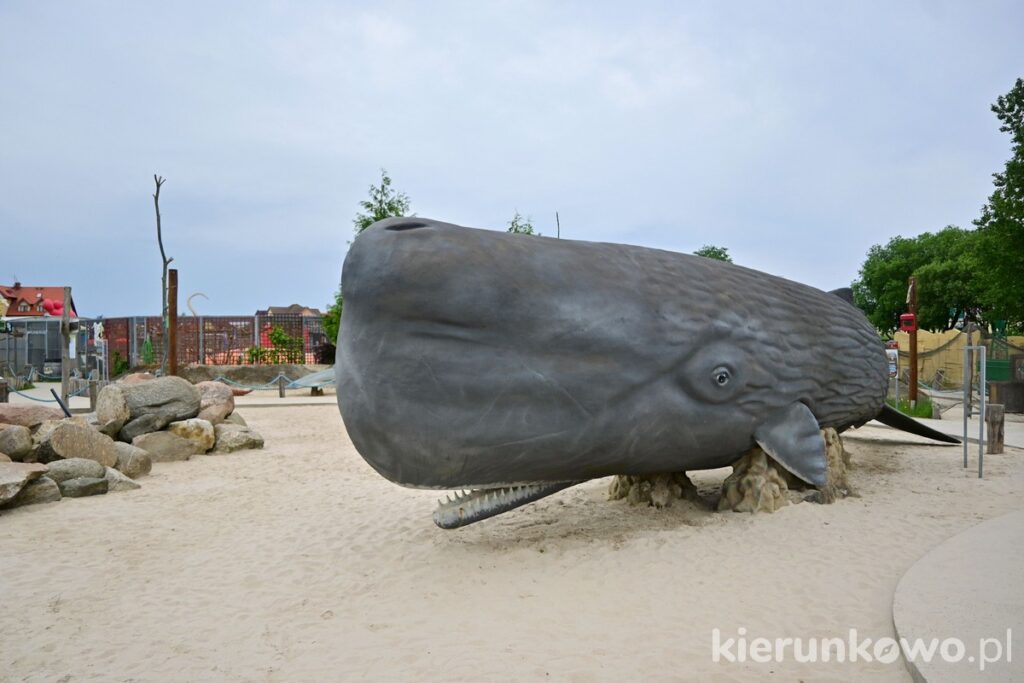 Park Wieloryba w Rewalu kaszalot makieta replika