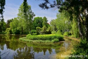 Park na Wyspie w Pile atrakcje piły i okolic