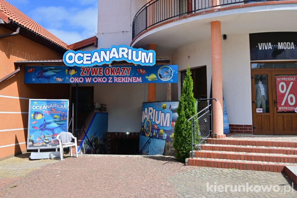 rewal oceanarium Atrakcje dla dzieci w Niechorzu