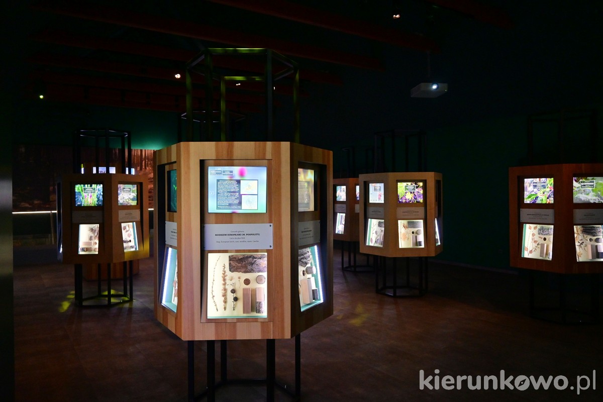 muzeum leśnictwa gołuchów