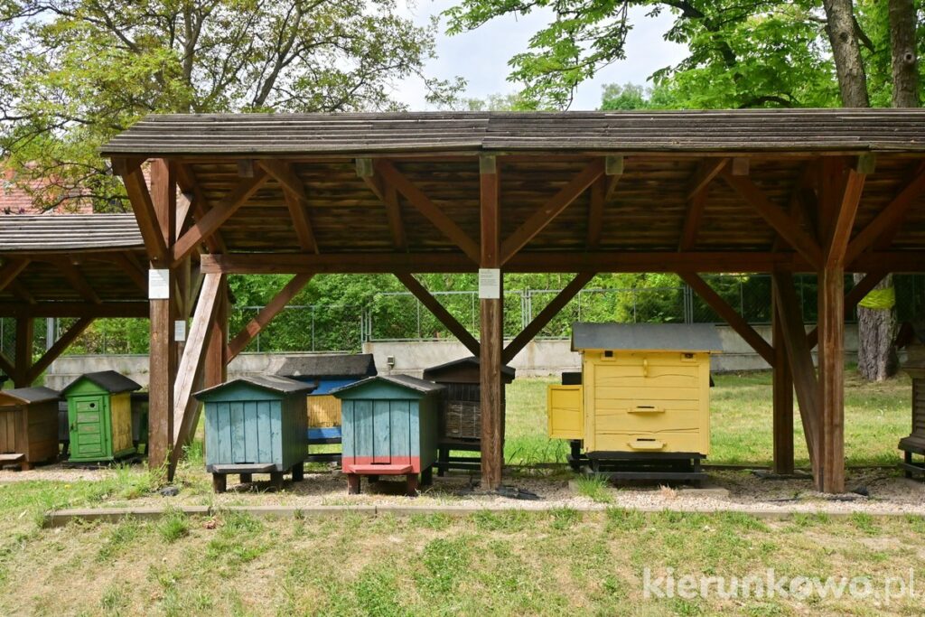 ule chata bartnika muzeum leśnictwa w gołuchowie pszczelarstwo gołuchów atrakcje
