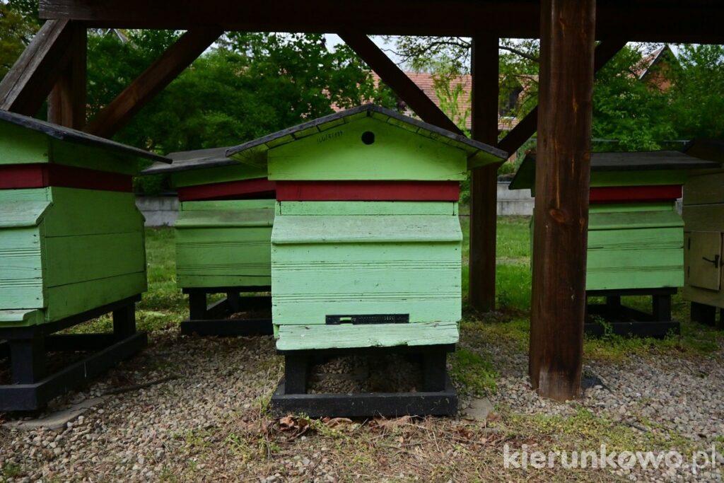 ule chata bartnika muzeum leśnictwa w gołuchowie pszczelarstwo