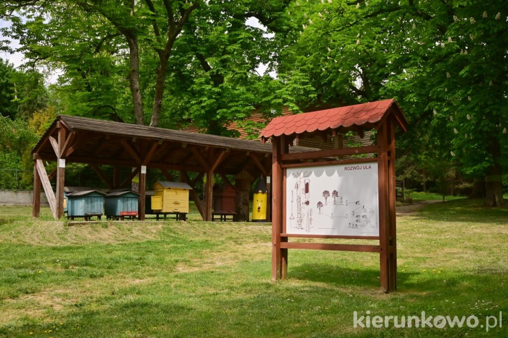 ule chata bartnika muzeum leśnictwa w gołuchowie pszczelarstwo