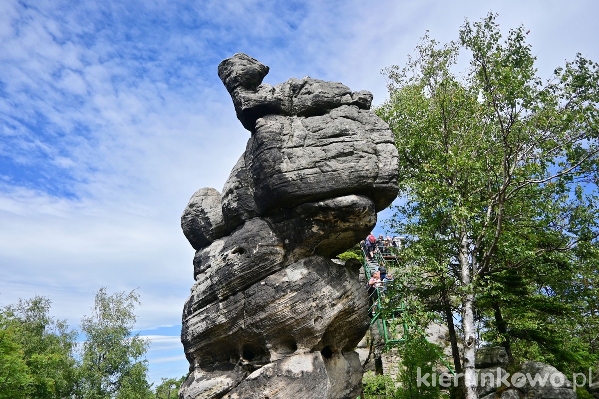 Skalny labirynt na Szczelińcu Wielkim skała wielbłąd góry stołowe