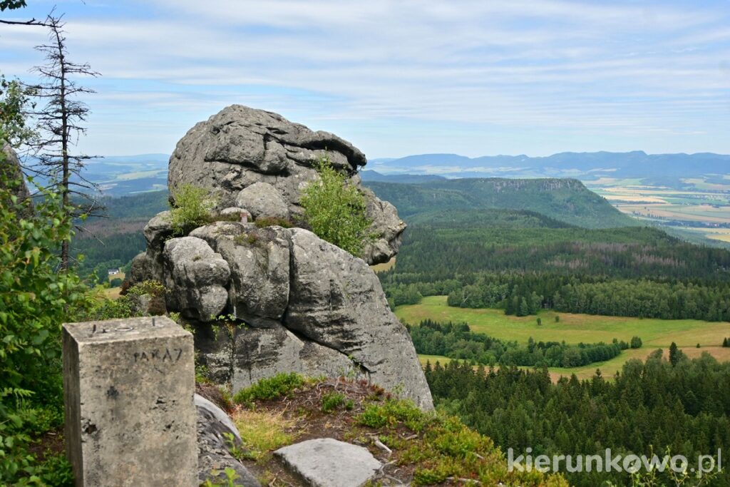 Skalny labirynt na Szczelińcu Wielkim małpolud skała góry stołowe ziemia kłodzka atrakcje szlaki w górach stołowych