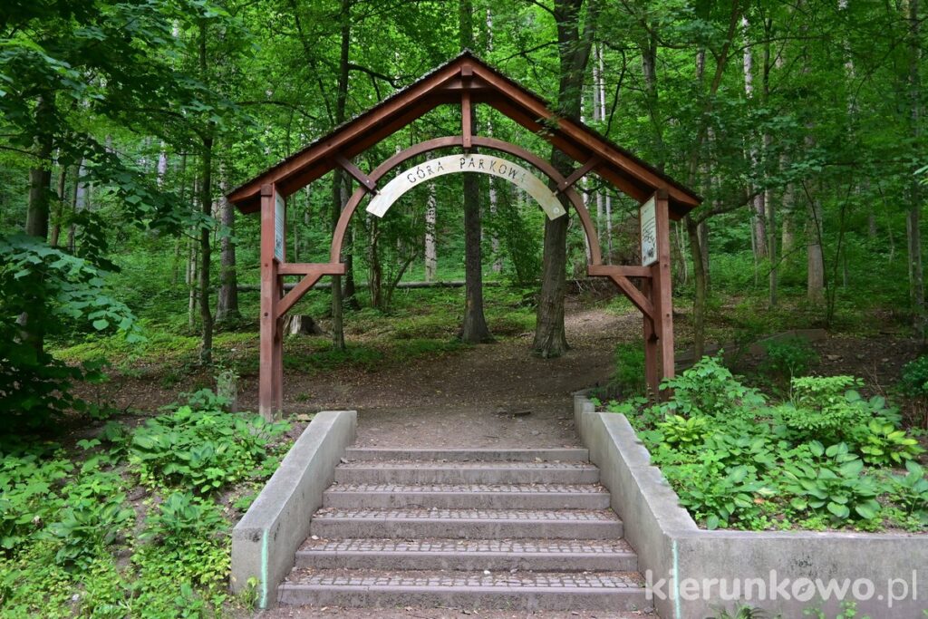 Góra Parkowa w Kudowie-Zdroju kudowa-zdrój atrakcje