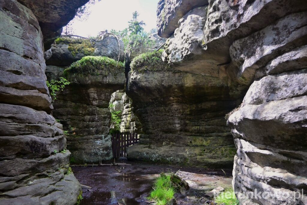 skalny labirynt w błędnych skałach