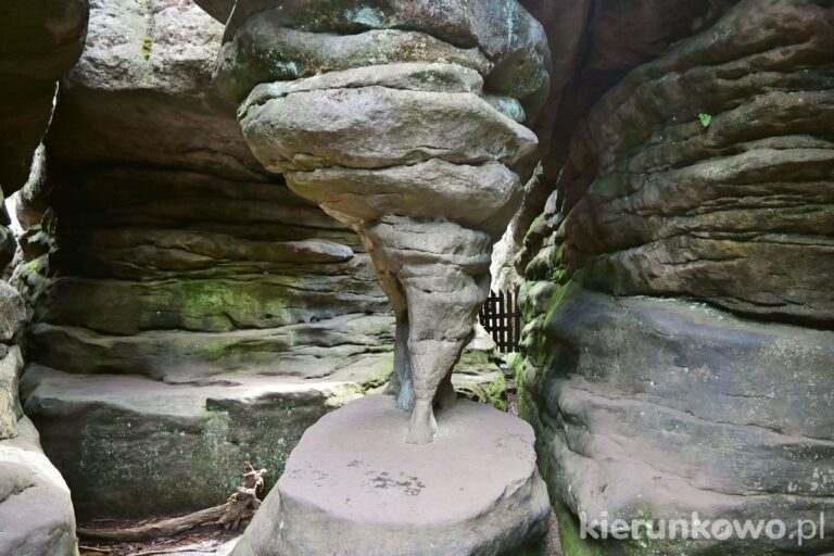skalny labirynt w górach stołowych kurza stopka błędne skały góry stołowe niesamowite miejsce