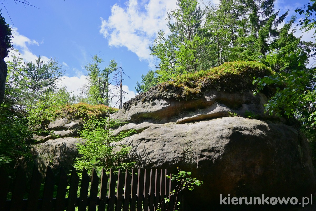 kamienne rzeźby w górach stołowych