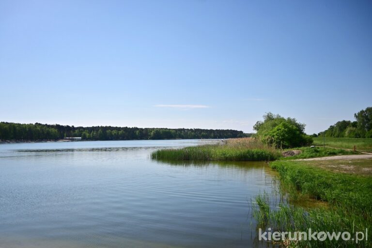 Jezioro Gołuchowskie gołuchów atrakcje