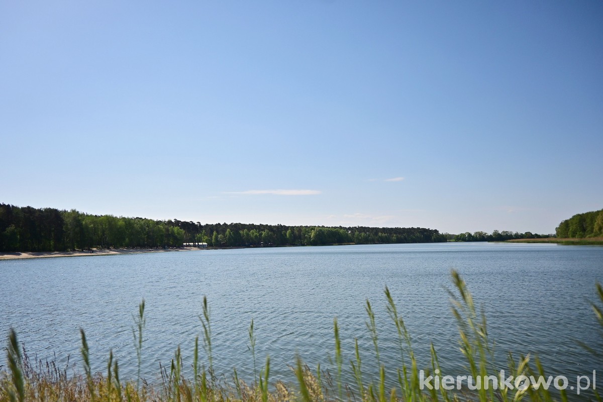 Jezioro Gołuchów zbiornik wodny