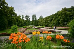 Park Szachowy w Polanicy-Zdroju polanica-zdrój atrakcje dolny śląsk