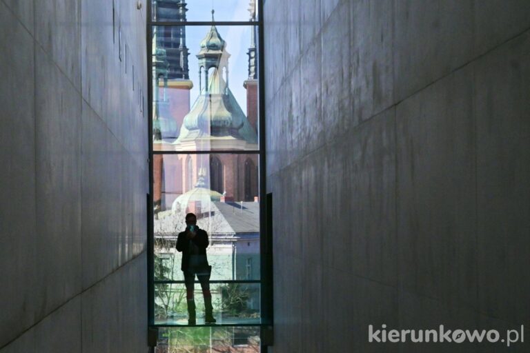 instameet brama poznania poznań atrakcje co zwiedzić w poznaniu