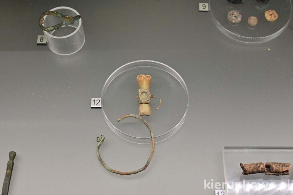 wykopaliska eksponaty archeologiczne ostrów tumski poznań