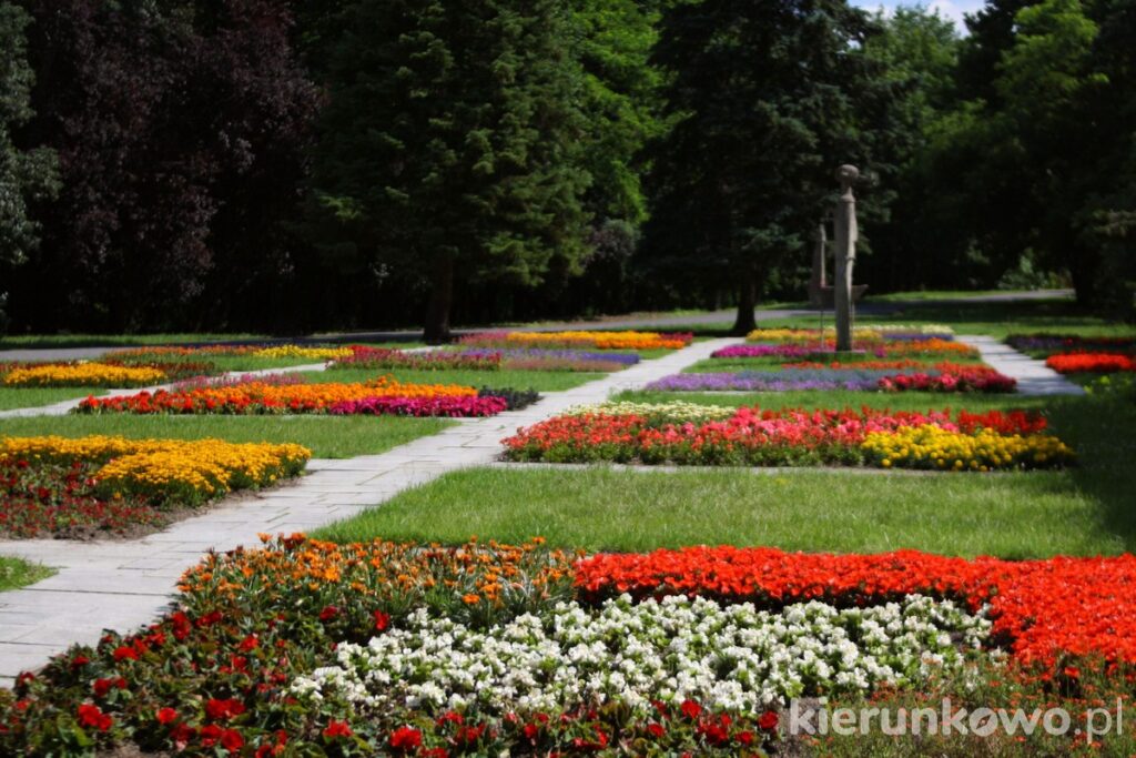 ogród kwiatów ogród kwiatowy park cytadela w poznaniu kwietne dywany