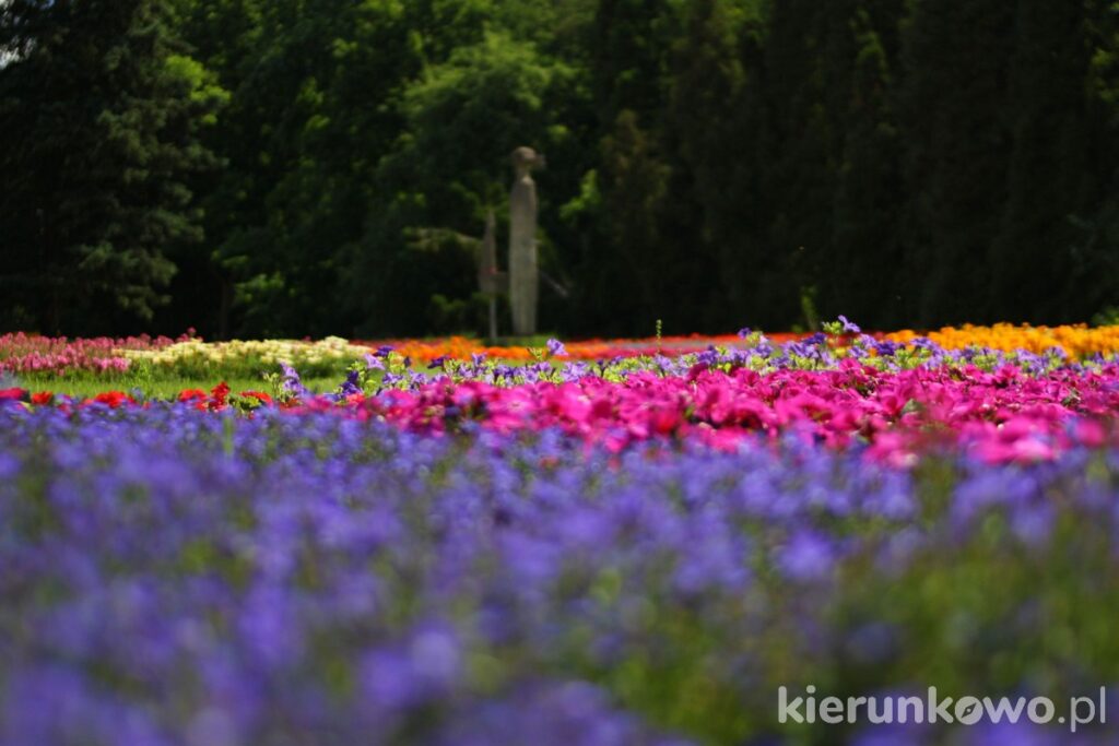 park cytadela w poznaniu ogród kwiatowy ogród kwiatów
